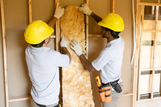 Best Crawl Space Insulation  in Rainelle, WV